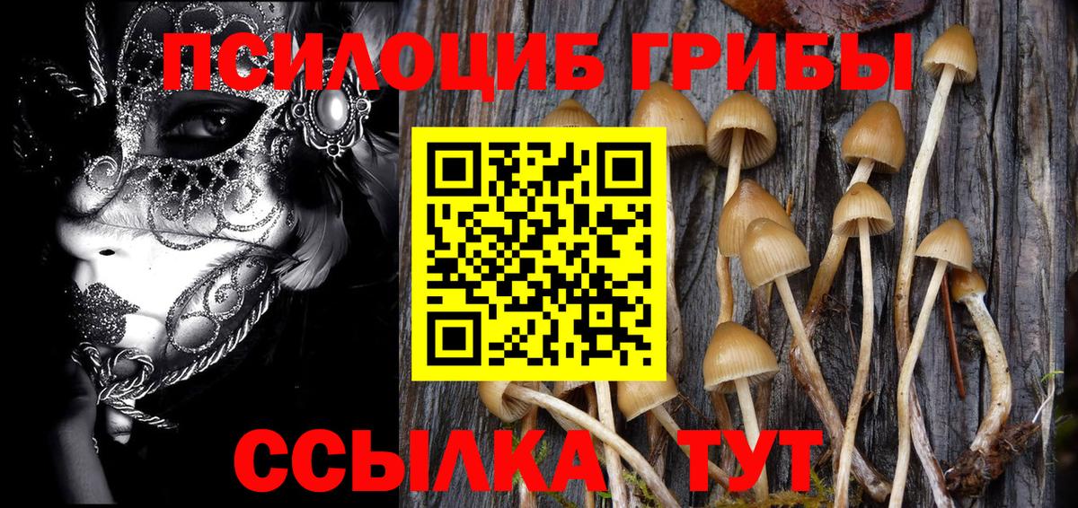 Псилоцибиновые грибы Magic Shrooms  Вход с VPN  Благодарный 